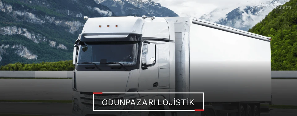 Odunpazarı Lojistik Kargo