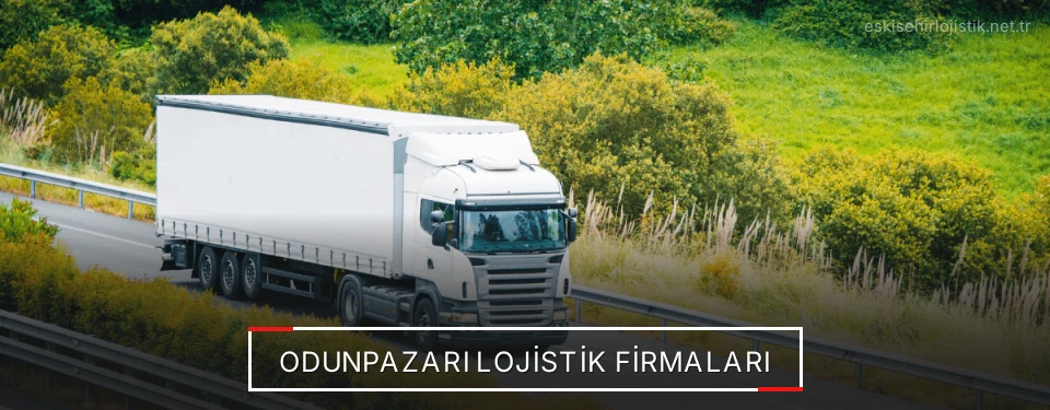 Odunpazarı Lojistik Taşımacılık