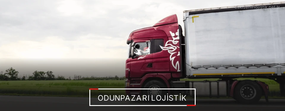 Odunpazarı Lojistik